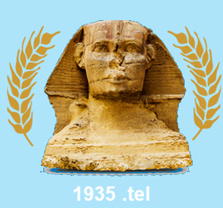 Egypt Millers