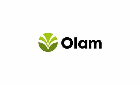 Olam